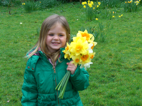 daffs