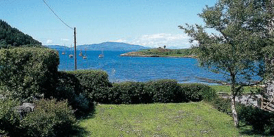View from house