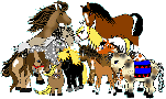 pony club